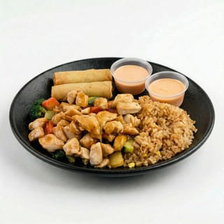 Bento Box D